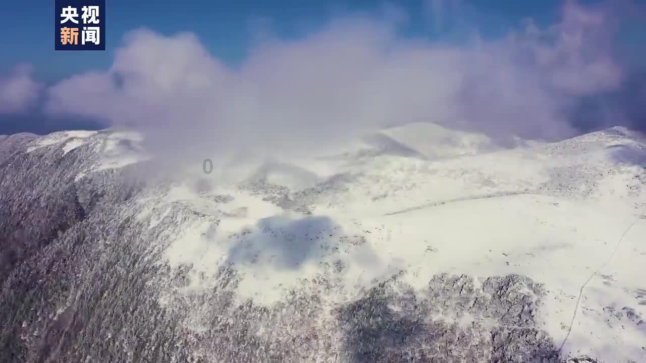过期的啤酒有什么用途吗？游戏画面